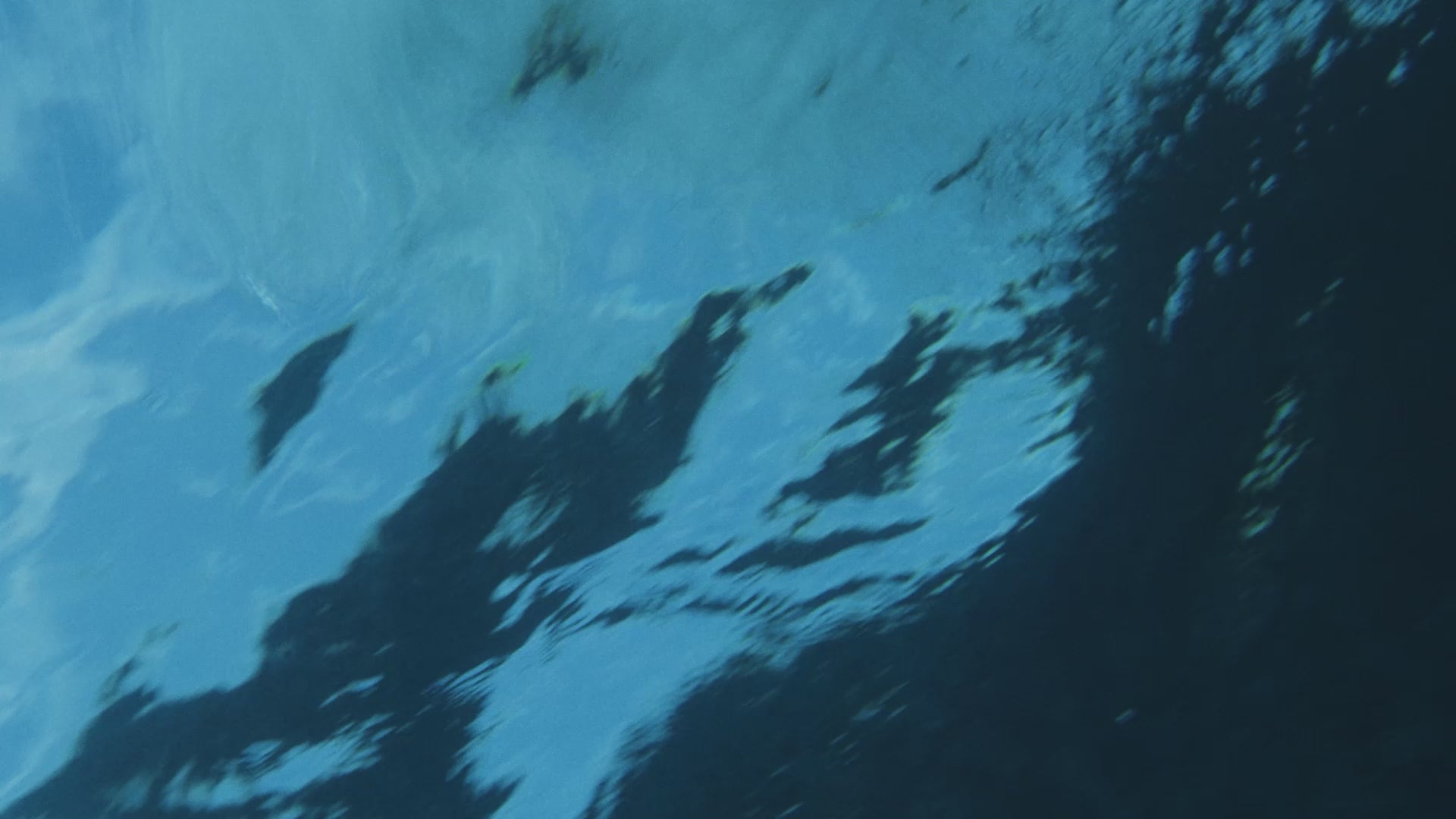 たくわん Women's Fastskin LZR Pure Intent Closedback Kneeskin Green