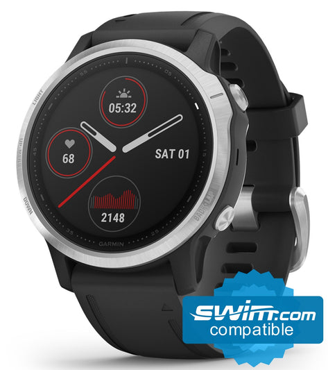 Garmin Fenix 6S Silver/ Black Band