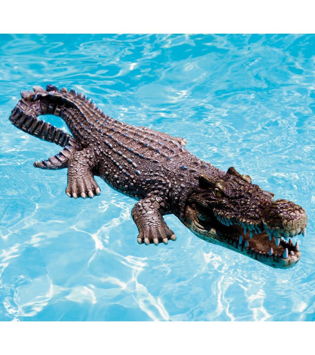 Poolmaster Crocodile Body Float-30 at